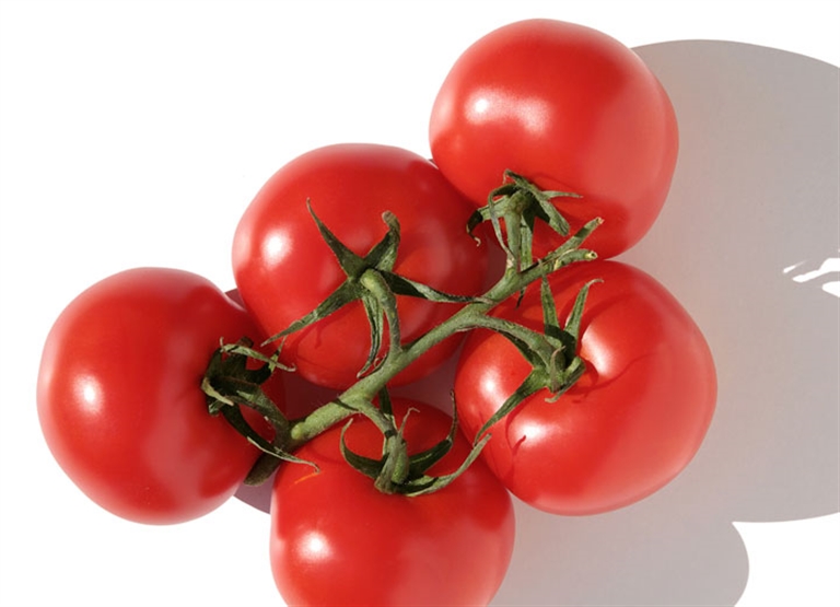 Humidificación en la producción de alimentos y bebidas