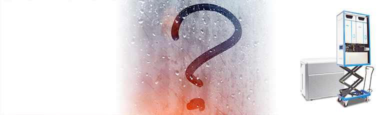 ¿Por qué alquilar?