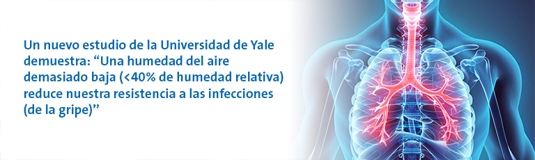 Un nuevo estudio de la Universidad de Yale demuestra